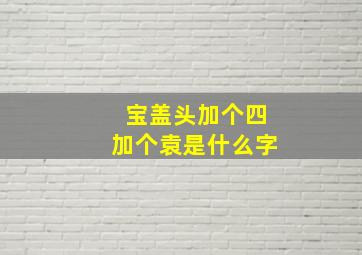 宝盖头加个四加个袁是什么字