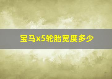 宝马x5轮胎宽度多少