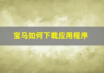 宝马如何下载应用程序