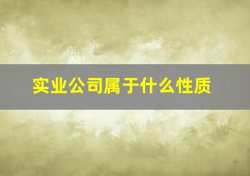 实业公司属于什么性质