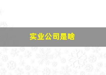 实业公司是啥