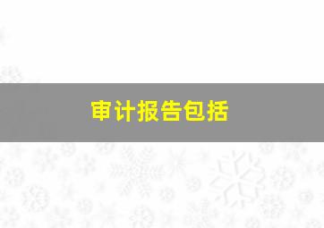 审计报告包括