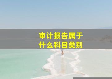 审计报告属于什么科目类别