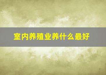 室内养殖业养什么最好