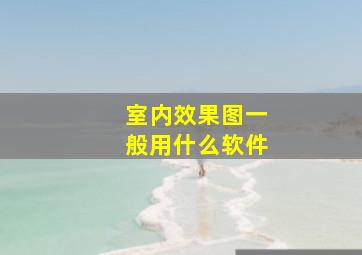 室内效果图一般用什么软件