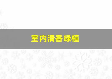 室内清香绿植