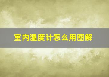 室内温度计怎么用图解