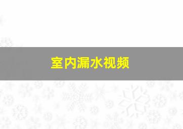 室内漏水视频