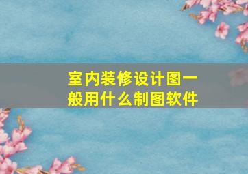 室内装修设计图一般用什么制图软件