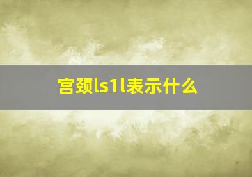 宫颈ls1l表示什么