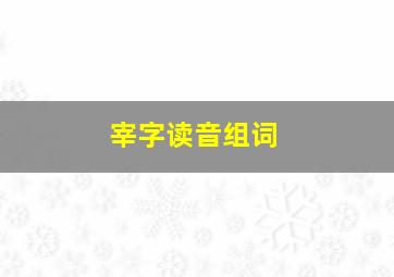 宰字读音组词