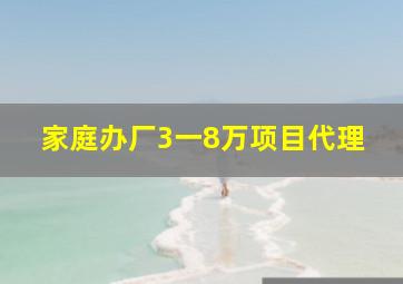 家庭办厂3一8万项目代理