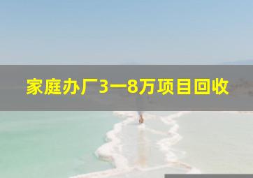 家庭办厂3一8万项目回收