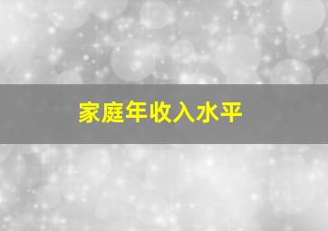 家庭年收入水平