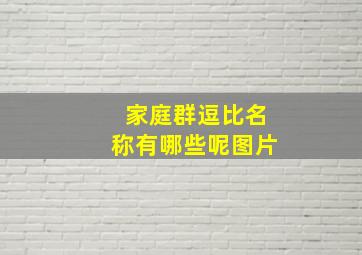 家庭群逗比名称有哪些呢图片