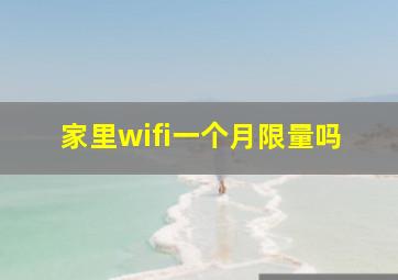 家里wifi一个月限量吗