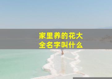 家里养的花大全名字叫什么