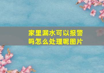 家里漏水可以报警吗怎么处理呢图片