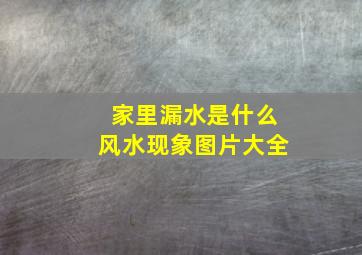 家里漏水是什么风水现象图片大全