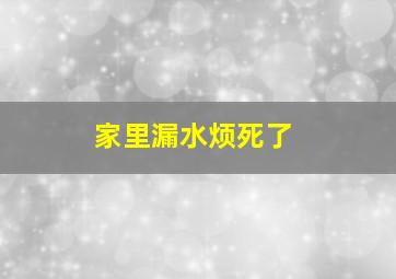 家里漏水烦死了