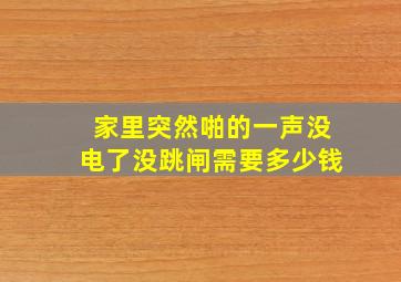 家里突然啪的一声没电了没跳闸需要多少钱