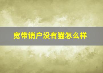 宽带销户没有猫怎么样