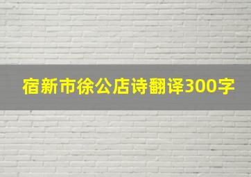 宿新市徐公店诗翻译300字