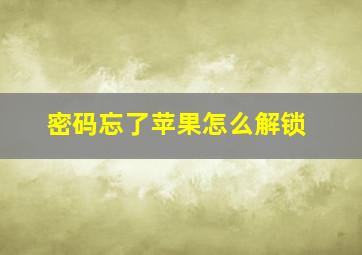 密码忘了苹果怎么解锁