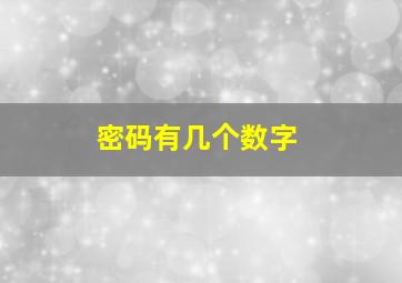 密码有几个数字