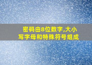 密码由8位数字,大小写字母和特殊符号组成