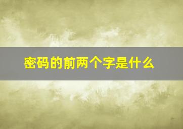 密码的前两个字是什么