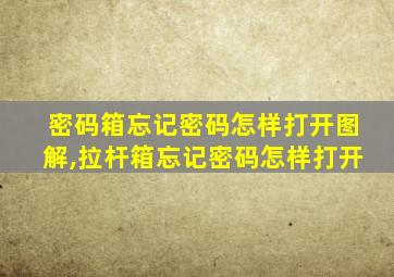 密码箱忘记密码怎样打开图解,拉杆箱忘记密码怎样打开