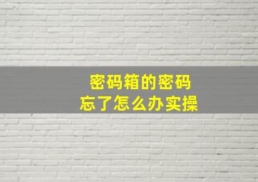 密码箱的密码忘了怎么办实操