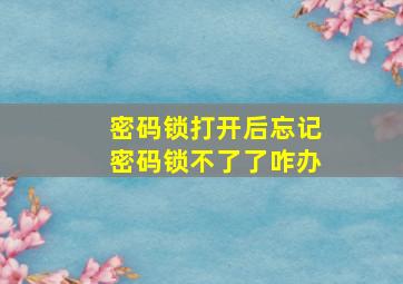 密码锁打开后忘记密码锁不了了咋办