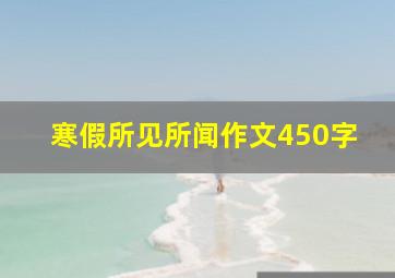 寒假所见所闻作文450字