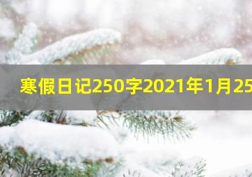 寒假日记250字2021年1月25日