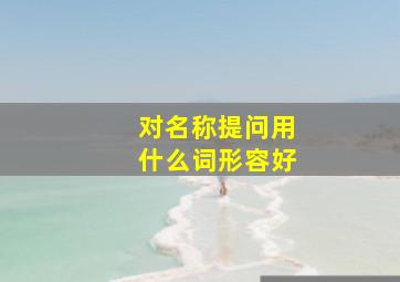 对名称提问用什么词形容好