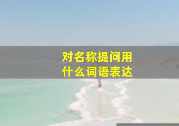 对名称提问用什么词语表达