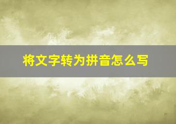 将文字转为拼音怎么写