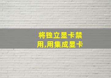 将独立显卡禁用,用集成显卡