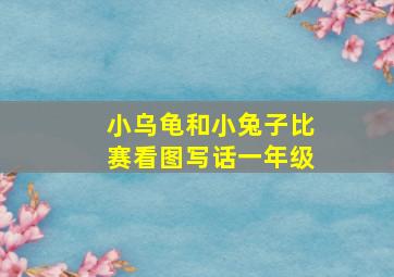 小乌龟和小兔子比赛看图写话一年级