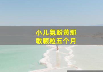 小儿氨酚黄那敏颗粒五个月