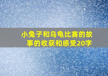 小兔子和乌龟比赛的故事的收获和感受20字