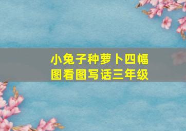 小兔子种萝卜四幅图看图写话三年级