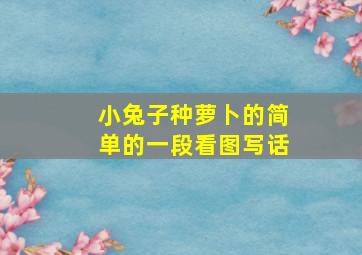 小兔子种萝卜的简单的一段看图写话