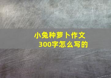 小兔种萝卜作文300字怎么写的