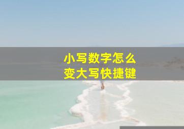 小写数字怎么变大写快捷键