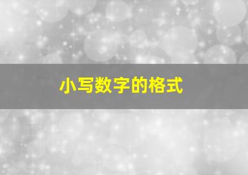 小写数字的格式