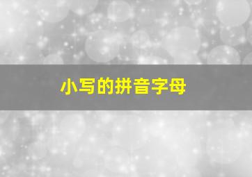 小写的拼音字母