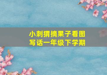 小刺猬摘果子看图写话一年级下学期